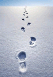 footprints