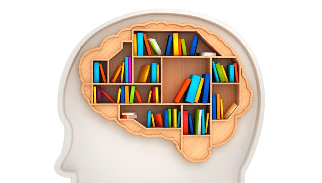 brain-memory-istock_000021178612