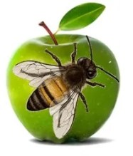 Apple Bee